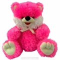 Cute Teddy Bear